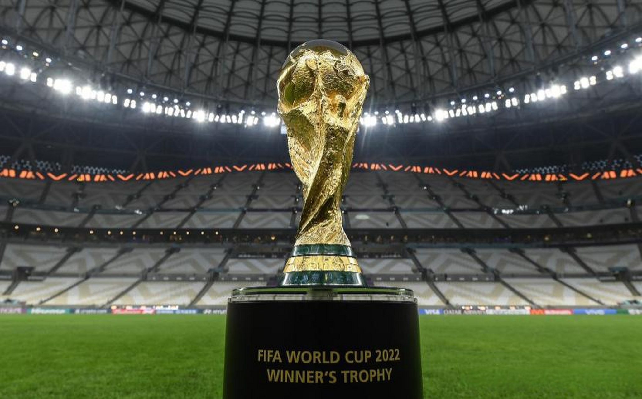 维拉的顽强 维拉的顽强